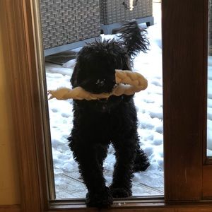 Meet your Posher, Baylee